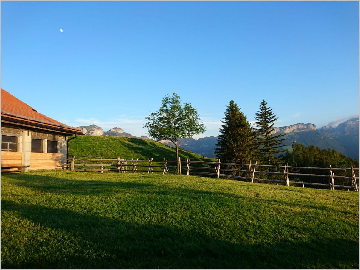 2019-06-14 15.57.25